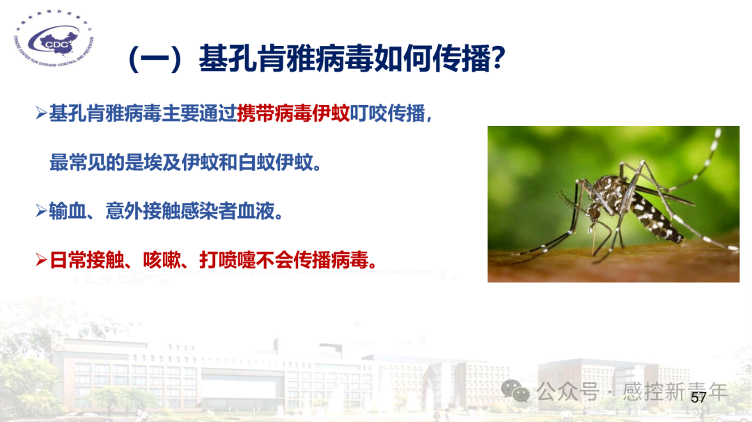 a12660271ab6d5e7fa4a4ae4c8c04fb8.png